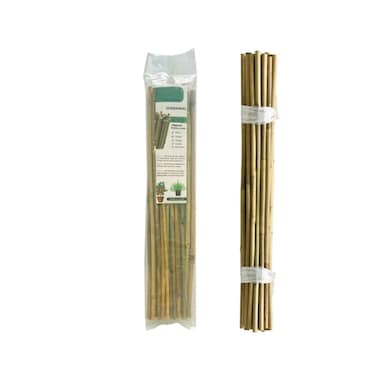 Bamboo Cane 150cm