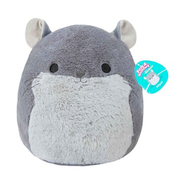 سكويشملو - فوزامالوز - ميبر - شنشيلة ١٢ بوصة