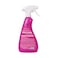 Regentt Carpet &amp; Upholstery Stain Remover 500ml