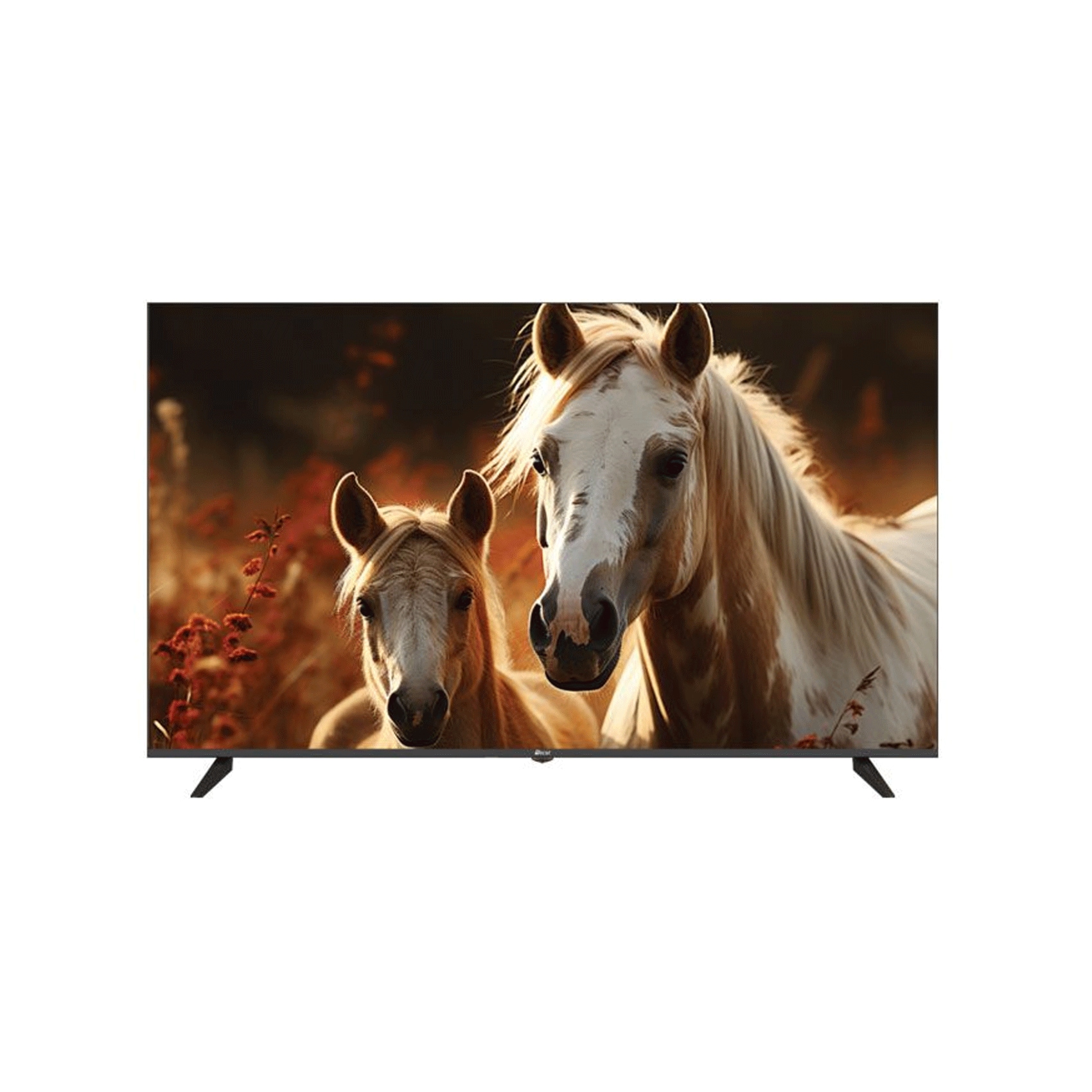 Oscar Smart TV QLED UHD 4K WebOS Frameless 55 Inch OS55QLEDW