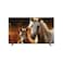 Oscar Smart TV QLED UHD 4K WebOS Frameless 55 Inch OS55QLEDW
