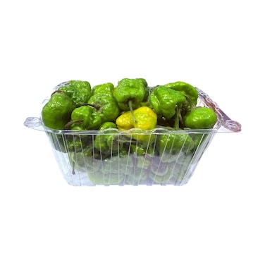 Lebanese Hot Green Chili Pepper