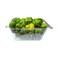 Lebanese Hot Green Chili Pepper