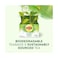 Lipton Magnificent Matcha Green Tea 1.5gx20 Pieces