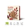Turtle Multigrain Flakes Chocolate Cereals 300g