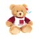 Keel Toys Keeleco Bear Brown Qatar 25cm