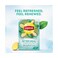 Lipton Herbal Infusions After Meal Tea Bags 1.5gx20 Pieces