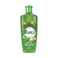 Dabur Vatika Cactus Enriched Hair Oil Hair Fall Control 300mlx2 Pieces