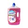 Sanita My Home All Surface Cleaner &amp; Disinfectant Floral 3l + Sanita My Home All Surface Cleaner &amp; Disinfectant Floral 1.5l