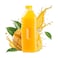 Foodway Fresh Mango Juice 1L