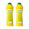 9Easy Cream Cleaner 750mlx2 Pieces