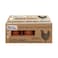 Hello Yellow Cage Free Farm Fresh Chicken Eggs Brown 6 Pieces