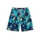 Men's Swimming Short Assorted