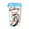 Galaxy Chocolate Milk With Coconut Flavour 220mlx2 Pieces