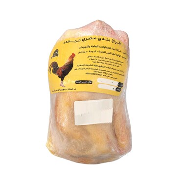 دجاجة بلدي مجمدة