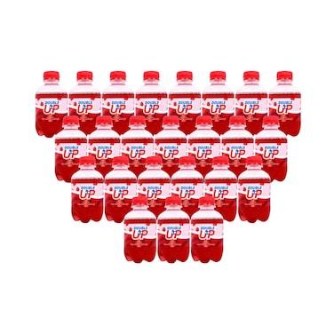 Double Up Carbonated Flavoured Red Berries Drink 200mlx24 Pieces