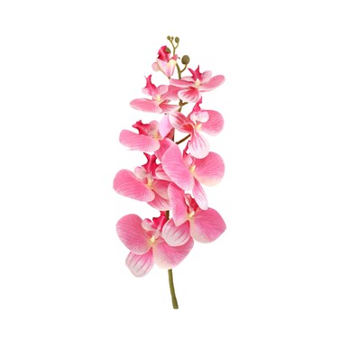 Stick Flower With 9 Petals