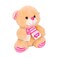 Soft Bear Assorted 20cm
