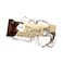 Nugo Vegan Dark Chocolate Coconut Protein Bar 50g
