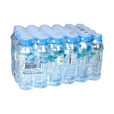 Rayyan Natural Mineral Water 250mlx24 Pieces