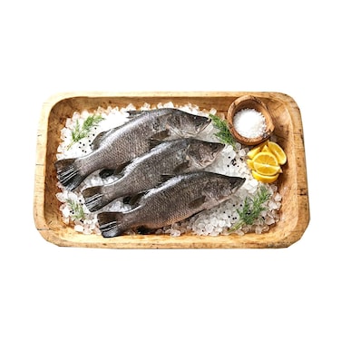 سمك الباراموندي