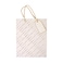 Stripe Gift Bag Small 18x10x23