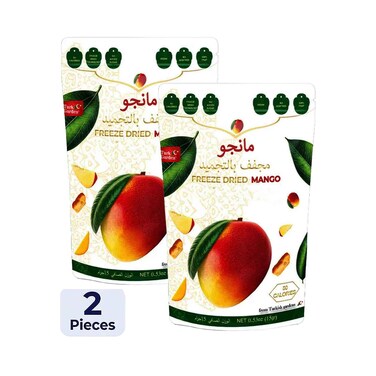 Turk Garden Freeze Dried Mango 15g x2 Pieces