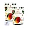 Turk Garden Freeze Dried Mango 15g x2 Pieces