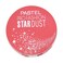 Pastel Profashion Stardust Highlighter No. 322 8g