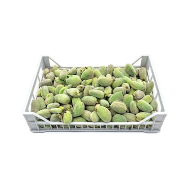 Fresh Almond Green Loose