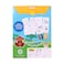 Alligator Animals Coloring Set Assorted