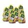 Tanmiah Frozen Chicken 1000g x 10