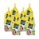 Tanmiah Frozen Chicken 800g x 10