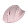 HP Tilt Ergonomic Wireless Mouse 720M BH7N4AA