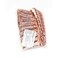 Frozen Australian Mutton Rack Shank Bone In