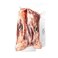 Frozen Australian Mutton Leg Shank Bone In