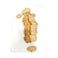 Oats Wholemeal Bread