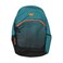 Wild Craft Zeal Pri Teal Bag