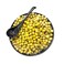 Hutesa Green Whole Olives