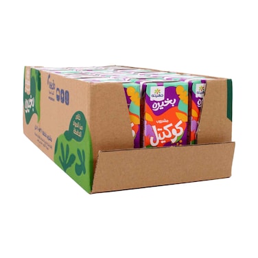 Juhayna Bekhero Mixed Fruit Cocktail Juice 200ml