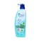 Head &amp; Shoulders Ice Fresh Anti-Dandruff Shampoo with Cooling Menthol Effect 600ml