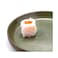 Sushi Snow Salmon 8 Pieces