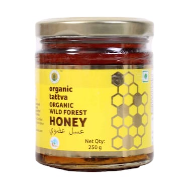 Organic Tattva Wild Forest Honey 250g