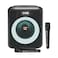 Platinum Karaoke CX15 Party Bluetooth Jukebox System