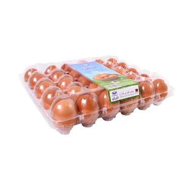 Al Rayan Qatari Brown Eggs 30 Pieces