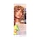 Garnier Color Naturals Cr&egrave;me Hair Color 6.31 Light Golden Dark Blonde with Avocado Oil