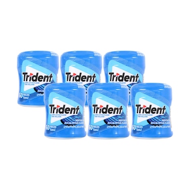 Trident Air Rush Menthol Chewing Gum Bottle 84g x 6