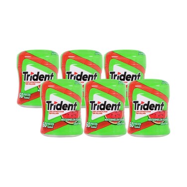 Trident Watermelon Chewing Gum Bottle 60 Pieces 84g x 6