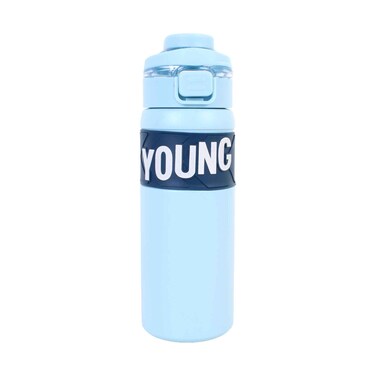Gitco Double Wall Insulated Stainless Steel Water Bottle 650ml Assorted