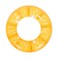 Sun Club Fruit Slice Themed Swim Tube Assorted